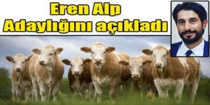 Eren Alp, Kars Damızlık Sığır Yetiştiricileri Birliği Başkanlığı'na Aday