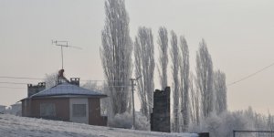 Kars buz kesti, ağaçlar kırağı tuttu