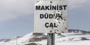 Kars’ta, tabelalar magandaların hedef tahtası oldu