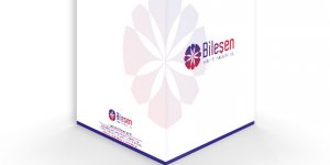 Kaliteli Cepli Dosya İçin Broşür.com.tr
