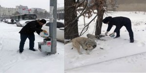 Belediye, sokak hayvanlarının bakımını titizlikle yapıyor