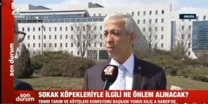 Komisyon Başkanı Yunus Kılıç, sokak köpekleriyle ilgili açıklama yaptı