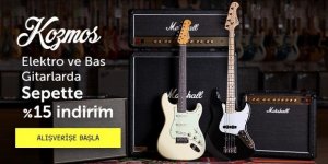 Kaç Tane Gitar Çeşidi Var?