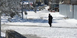 Kars eksi 13 ile dondu, ağaçlar kırağı tuttu