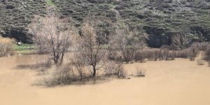 Kars’ta ağaçlar baraj suyu altında kaldı