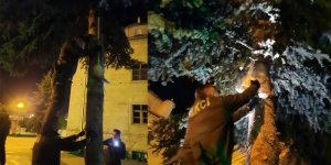 Ağaçta mahsur kalan kediyi bekçi kurtardı!