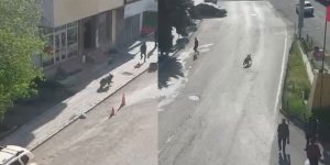 Sarıkamış’ta merkeze inan boz ayı panik yaşattı