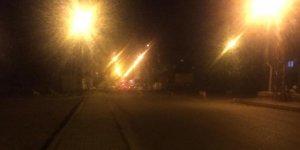 Kars'ta köpek terörü yaşanıyor