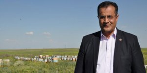 Kars coğrafi işaretli bala doyacak