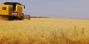 Kars’ta emekler ekmeğe dönüşüyor