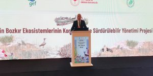 Komisyon Başkanı Yunus Kılıç, FAO ile Tarım Bakanlığı'nın yürüttüğü proje toplantısına katıldı