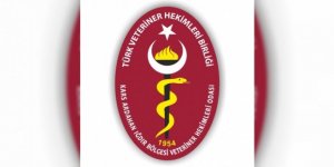  Kars’ta VHO seçimi yapılacak