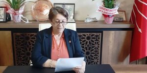 Çelik, “2022 yılının ilk 10 ayında 482 kadın öldürüldü”