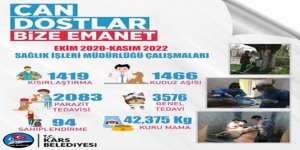 Kars Belediyesi can dostlara yönelik çalışmalarını aralıksız sürdürüyor