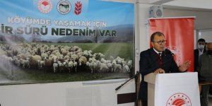 Amaç: “Kars’ta koyunculuğu teşvik etmek!”