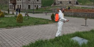 Kars’ta sinek ve haşere ile mücadele başladı