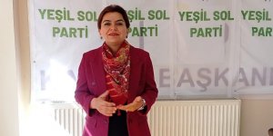 Gülistan Kılıç Koçyiğit, Yeşil Sol Parti'den Kars Milletvekili Oldu