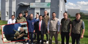 7 yılda 745 yaralı yaban hayvanı doğal ortamda şifa buldu