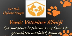 Kars'ta Venüs Veteriner Kliniği Bugün Açılıyor