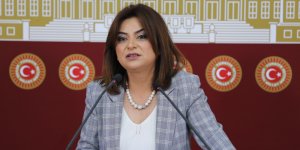 Milletvekili Koçyiğit, Ardahan ve Kars'taki şap hastalığı için soru önergesi verdi