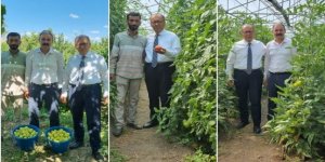 Bölgenin Sebze ve Meyve Deposu Kağızman'da Yüzler Gülüyor