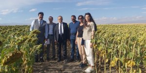 Kars'ta Tarım Arazileri Etkin Kullanılacak