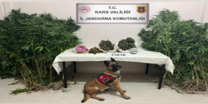 Kars Jandarmasından Zehir Tacirlerine Darbe