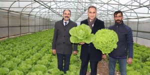 Kars Tarım ve Orman İl Müdürü Enver Aydın, Kağızman’da...