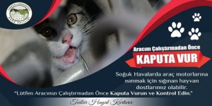 Aracımızı çalıştırmadan önce Lütfen kaputa vuralım