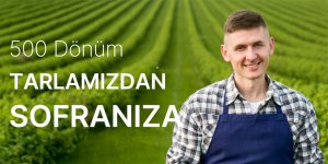 Catering Hizmeti Alırken Nelere Dikkat Edilmeli