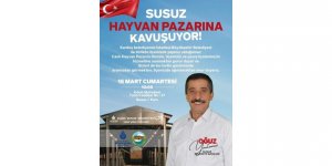 Susuz Hayvan Pazarı Yarın Açılıyor