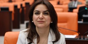 DEM Milletvekili Koçyiğit, Kağızman Devlet Hastanesi'ndeki Sorunları Meclis Gündemine Taşıdı