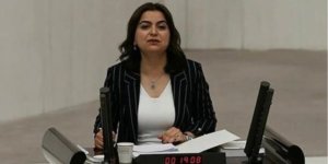 Milletvekili Koçyiğit, Kürt Kültürü'nün ve Kürtçe'nin Korunmasını Talep Etti