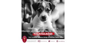 Ercan Ödül : "Yasalar Öldürmez, Yaşatır"