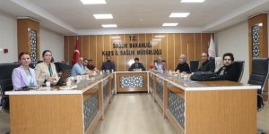 Kars'taki Sağlık Hizmetleri Değerlendirildi