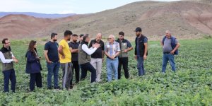 Kars’ın Kavun ve Karpuz ihtiyacı artık Digor'dan karşılanacak
