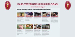 Başkan Ödül'den yenidoğan buzağılarla ilgili açıklama
