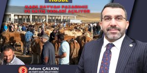 Kars Hayvan Pazarı Açılıyor