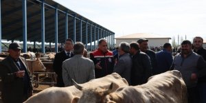 Kurban Bayramı öncesi Selim Hayvan Pazarı'nda denetim