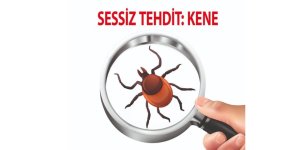 Kars'ta kene konusu ele alınacak