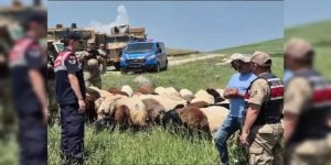 Kars’ta kaybolan 65 küçükbaş hayvan, dron ile bulundu