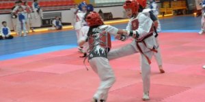 Taekwondo’nun Kalbi Kars’ta Attı