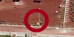 Hayvan barınağındaki olaya soruşturma açıldı