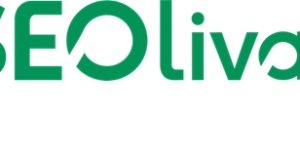 SEO Neden Önemli? SEOliva Cevaplıyor