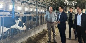 Kaymakam İsmail Demirtaş’tan Hayvan İşletmesine Ziyaret