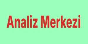 Verileri Anlamanın Gücü: SPSS Analiziyle Bilimsel Sonuçlara Ulaşın