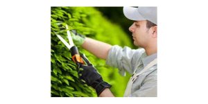 Ankara’da Apartman Yönetim Şirketleri Arasında En Doğru Tercihi Yapın