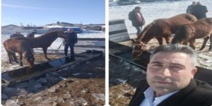 Bir Asırlık Hasretin Vuslatı: Sarıkamış Gülantep’te "Şorpınar" Mucizesi