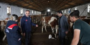 Kars Tarım Müdürü Aydın, Bayraktar köyü’nde üreticilerle buluştu