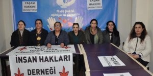 İHD Kars Şube Başkanı Kılıç, kadın cinayetlerine dikkat çekti